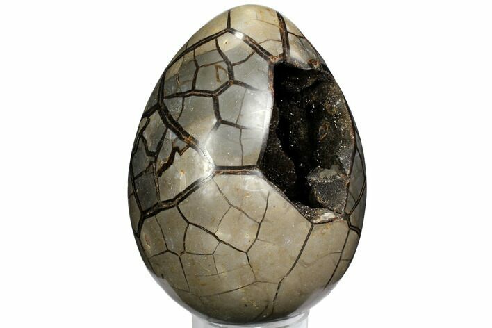 Septarian Dragon Egg Geode - Black Crystals #110882